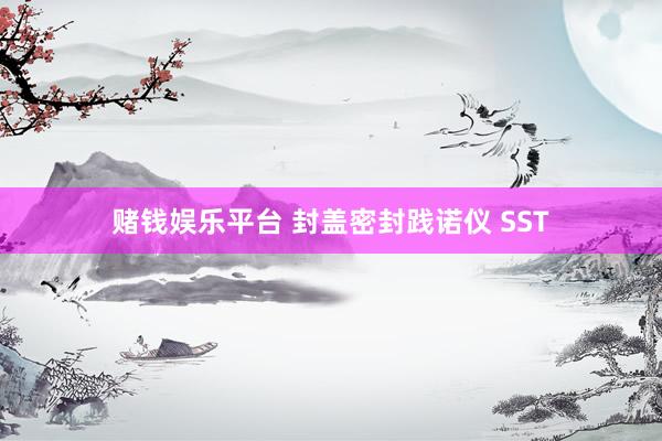 赌钱娱乐平台 封盖密封践诺仪 SST