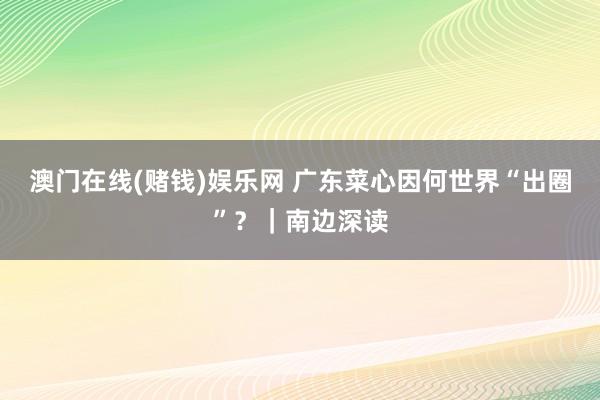 澳门在线(赌钱)娱乐网 广东菜心因何世界“出圈”？｜南边深读