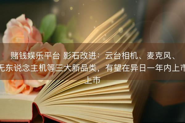 赌钱娱乐平台 影石改进：云台相机、麦克风、无东说念主机等三大新品类，有望在异日一年内上市