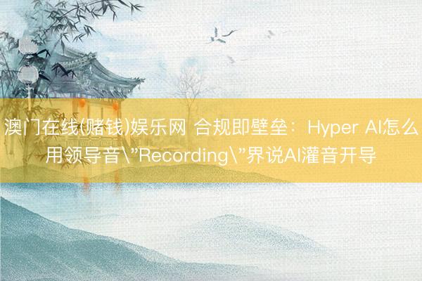 澳门在线(赌钱)娱乐网 合规即壁垒：Hyper AI怎么用领导音