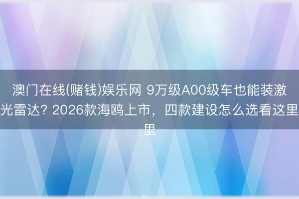 澳门在线(赌钱)娱乐网 9万级A00级车也能装激光雷达? 2026款海鸥上市，四款建设怎么选看这里