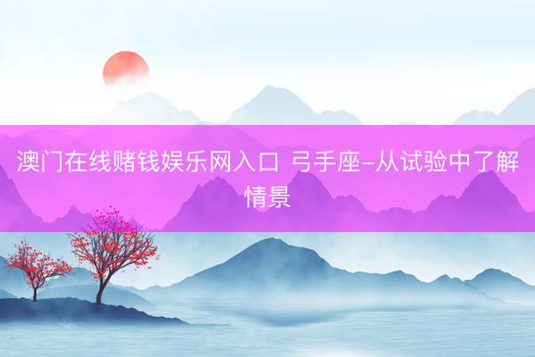 澳门在线赌钱娱乐网入口 弓手座-从试验中了解情景