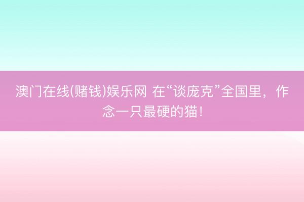 澳门在线(赌钱)娱乐网 在“谈庞克”全国里，作念一只最硬的猫！