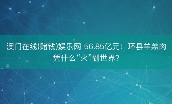 澳门在线(赌钱)娱乐网 56.85亿元！环县羊羔肉凭什么“火”到世界？