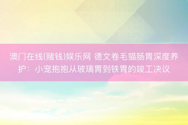 澳门在线(赌钱)娱乐网 德文卷毛猫肠胃深度养护：小宠抱抱从玻璃胃到铁胃的竣工决议