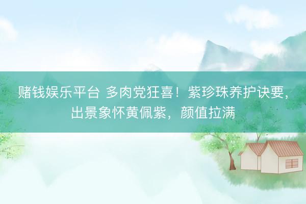 赌钱娱乐平台 多肉党狂喜！紫珍珠养护诀要，出景象怀黄佩紫，颜值拉满
