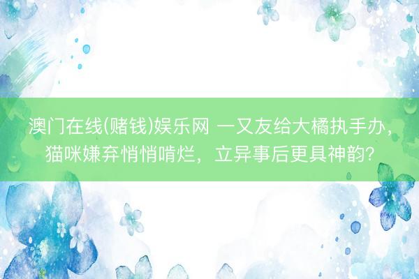 澳门在线(赌钱)娱乐网 一又友给大橘执手办，猫咪嫌弃悄悄啃烂，立异事后更具神韵？