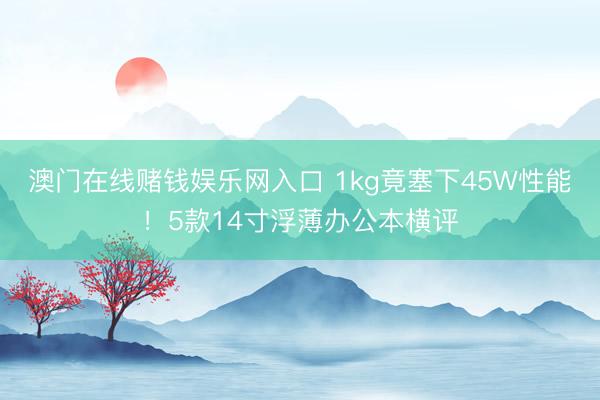 澳门在线赌钱娱乐网入口 1kg竟塞下45W性能！5款14寸浮薄办公本横评