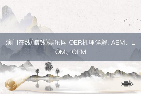澳门在线(赌钱)娱乐网 OER机理详解: AEM、LOM、OPM