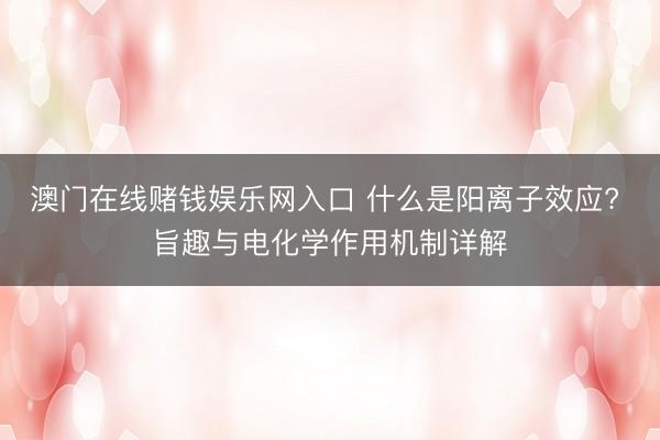 澳门在线赌钱娱乐网入口 什么是阳离子效应? 旨趣与电化学作用机制详解