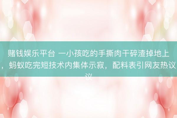 赌钱娱乐平台 一小孩吃的手撕肉干碎渣掉地上，蚂蚁吃完短技术内集体示寂，配料表引网友热议