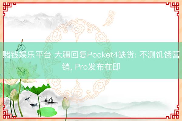 赌钱娱乐平台 大疆回复Pocket4缺货: 不测饥饿营销, Pro发布在即