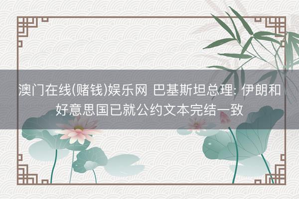 澳门在线(赌钱)娱乐网 巴基斯坦总理: 伊朗和好意思国已就公约文本完结一致