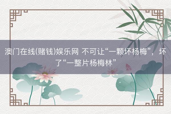 澳门在线(赌钱)娱乐网 不可让“一颗坏杨梅”，坏了“一整片杨梅林”