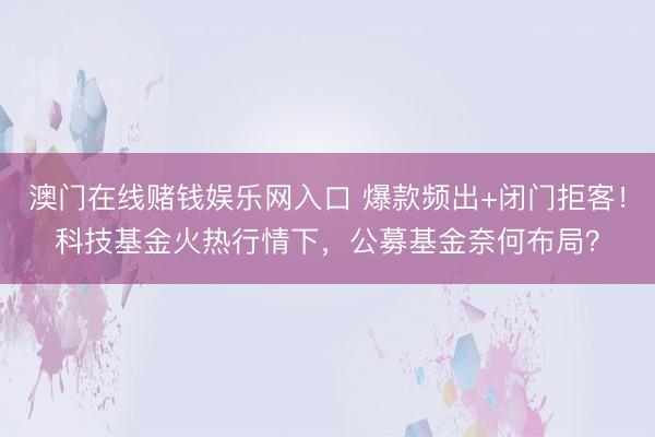澳门在线赌钱娱乐网入口 爆款频出+闭门拒客！科技基金火热行情下，公募基金奈何布局？